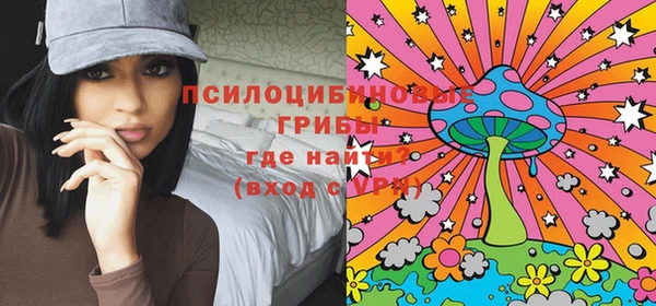сатива Алексеевка