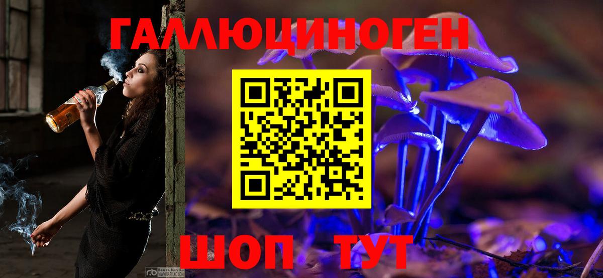 Саранск  Галлюциногенные грибы Cubensis  Вход с VPN 
